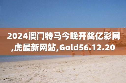 2024澳门特马今晚开奖亿彩网,虎最新网站,Gold56.12.20
