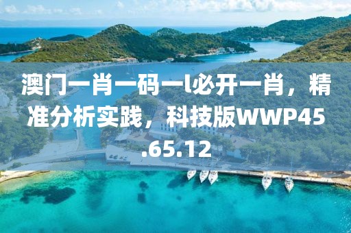 澳门一肖一码一l必开一肖，精准分析实践，科技版WWP45.65.12