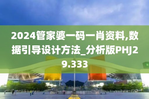 2024管家婆一码一肖资料,数据引导设计方法_分析版PHJ29.333