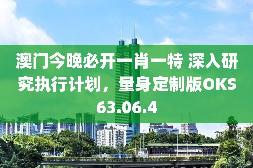 澳门今晚必开一肖一特 深入研究执行计划，量身定制版OKS63.06.4