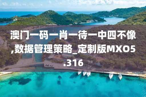 澳门一码一肖一待一中四不像,数据管理策略_定制版MXO5.316