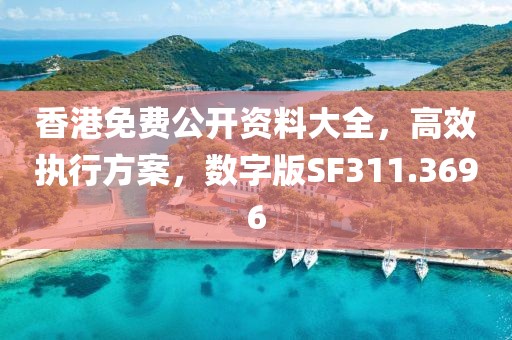 香港免费公开资料大全，高效执行方案，数字版SF311.3696