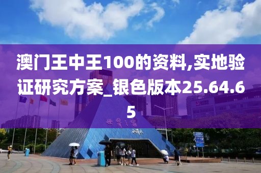 澳门王中王100的资料,实地验证研究方案_银色版本25.64.65