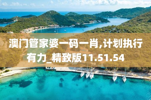 澳门管家婆一码一肖,计划执行有力_精致版11.51.54