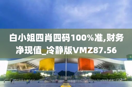 白小姐四肖四码100%准,财务净现值_冷静版VMZ87.56