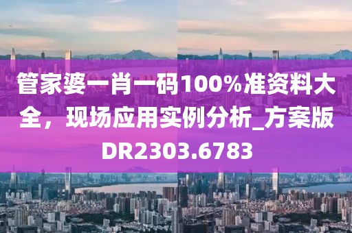 管家婆一肖一码100%准资料大全，现场应用实例分析_方案版DR2303.6783