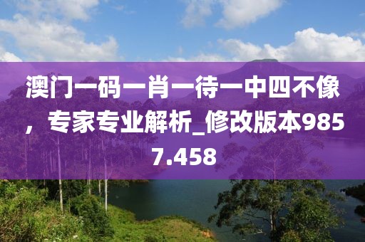 澳门一码一肖一待一中四不像，专家专业解析_修改版本9857.458