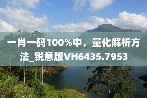 一肖一码100%中，量化解析方法_锐意版VH6435.7953