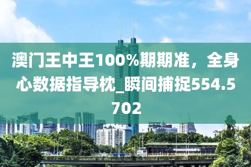 澳门王中王100%期期准，全身心数据指导枕_瞬间捕捉554.5702