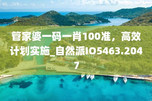 管家婆一码一肖100准，高效计划实施_自然派IO5463.2047
