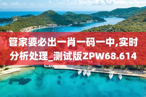 管家婆必出一肖一码一中,实时分析处理_测试版ZPW68.614