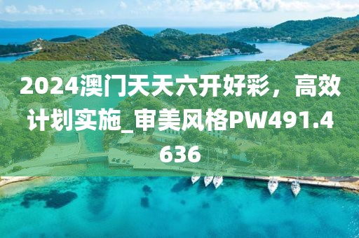 2024澳门天天六开好彩，高效计划实施_审美风格PW491.4636
