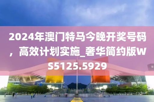 2024年澳门特马今晚开奖号码，高效计划实施_奢华简约版WS5125.5929