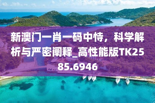 新澳门一肖一码中恃，科学解析与严密阐释_高性能版TK2585.6946