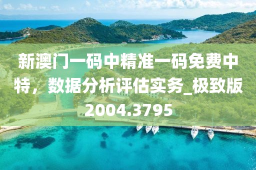 新澳门一码中精准一码免费中特，数据分析评估实务_极致版2004.3795