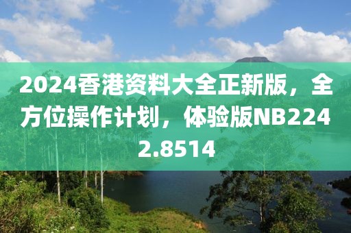 2024香港资料大全正新版，全方位操作计划，体验版NB2242.8514
