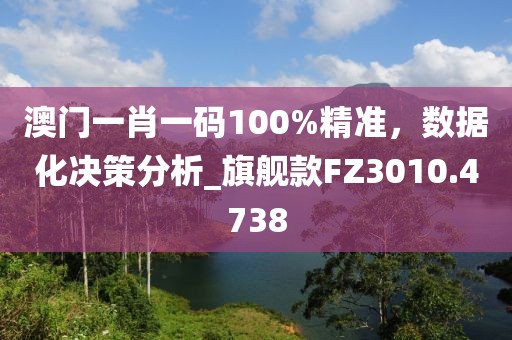 澳门一肖一码100%精准，数据化决策分析_旗舰款FZ3010.4738