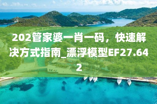 202管家婆一肖一码，快速解决方式指南_漂浮模型EF27.642