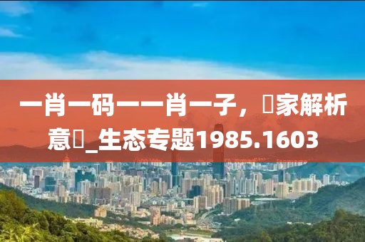殷慧晨