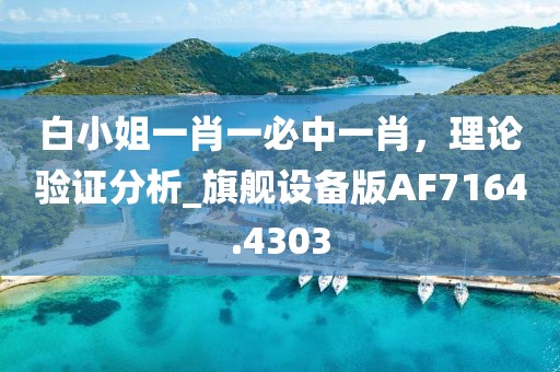 白小姐一肖一必中一肖，理论验证分析_旗舰设备版AF7164.4303