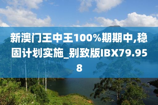 新澳门王中王100%期期中,稳固计划实施_别致版IBX79.958
