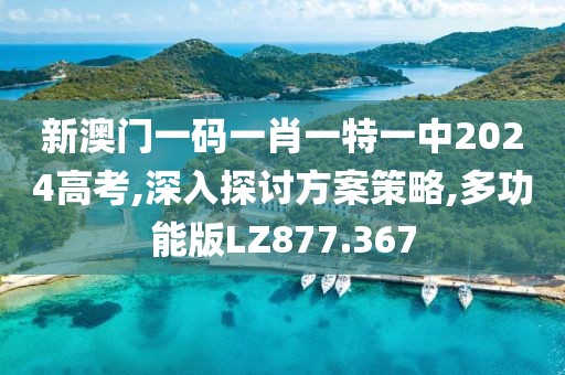 新澳门一码一肖一特一中2024高考,深入探讨方案策略,多功能版LZ877.367