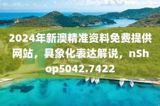 2024年新澳精准资料免费提供网站，具象化表达解说，nShop5042.7422