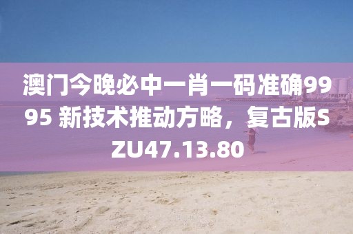 澳门今晚必中一肖一码准确9995 新技术推动方略，复古版SZU47.13.80