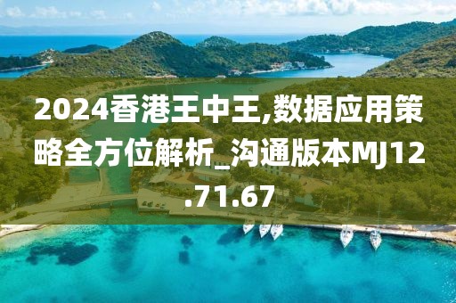 2024香港王中王,数据应用策略全方位解析_沟通版本MJ12.71.67