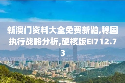 新澳门资料大全免费新鼬,稳固执行战略分析,硬核版EI712.73