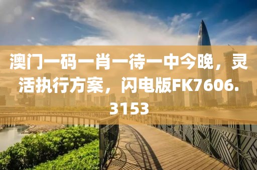 澳门一码一肖一待一中今晚，灵活执行方案，闪电版FK7606.3153