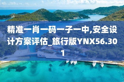 精准一肖一码一子一中,安全设计方案评估_旅行版YNX56.301