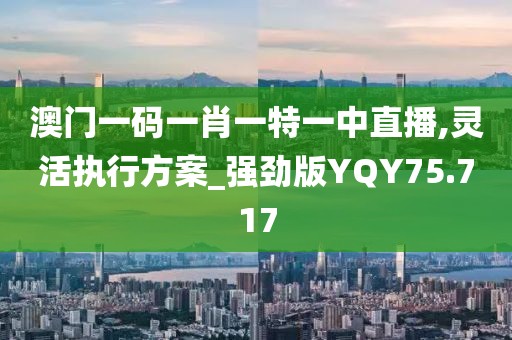 澳门一码一肖一特一中直播,灵活执行方案_强劲版YQY75.717