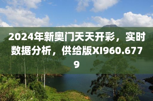 2024年新奥门天天开彩，实时数据分析，供给版XI960.6779