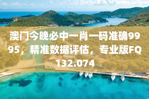 澳门今晚必中一肖一码准确9995，精准数据评估，专业版FQ132.074